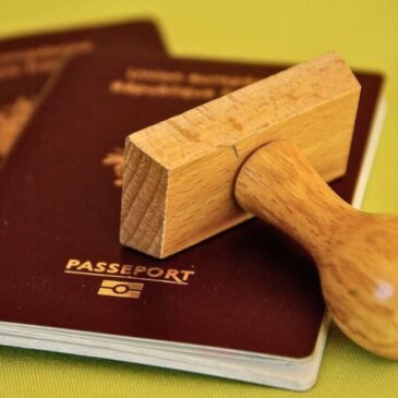 ブレグジット後の旅行混乱を避けるため、英国パスポートの改正を求める請願書をウェブサイトが開設